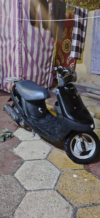 منغولي • شاصي محلوم • كوم حديد