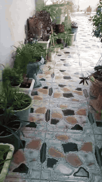 مشتمل للبيع بعقوبة كاطون الرازي شارع المدارس قرب مدرسة الشام المساحه 130 متر شارع عريض  بناء اخو الجديد قاط واحد وغرفه فوك وبيتونه السعر كلش حلو 🌹🌹 *********** او ***********@
