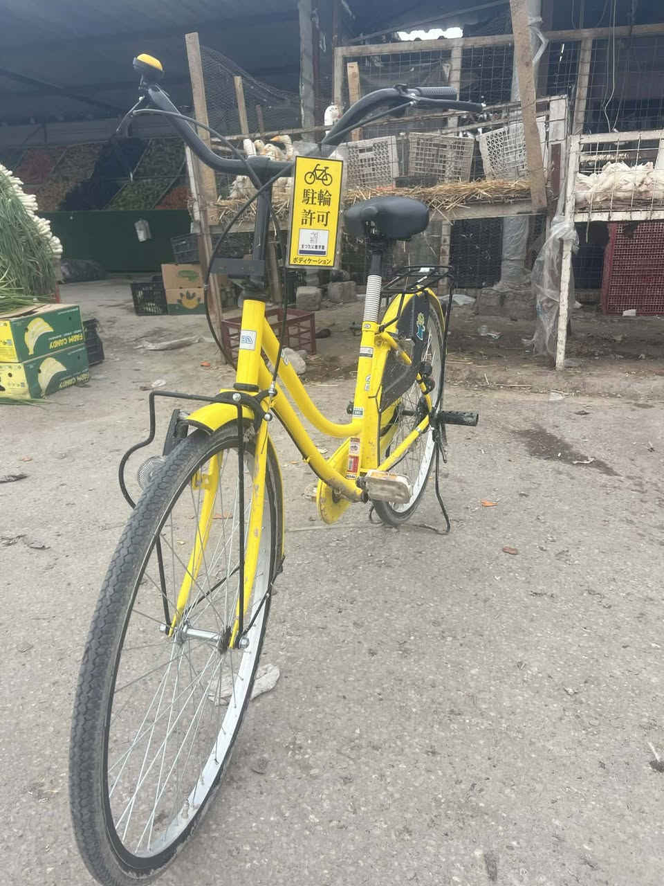 السلام عليكم بايسكل للبيع موديل 22 سوبر باسكن نازل كرار ابو النقش نازل من عنده بايسكلفتجي وتشوفه السعر خاص عنواني النجف قريب عن قريه الغدير رقمي هذا*********** مراوس دراجه بيجي عادي وبايسكل حسب القناعه
