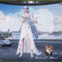 حساب ببجي • ٢٨ سلاح • موصل