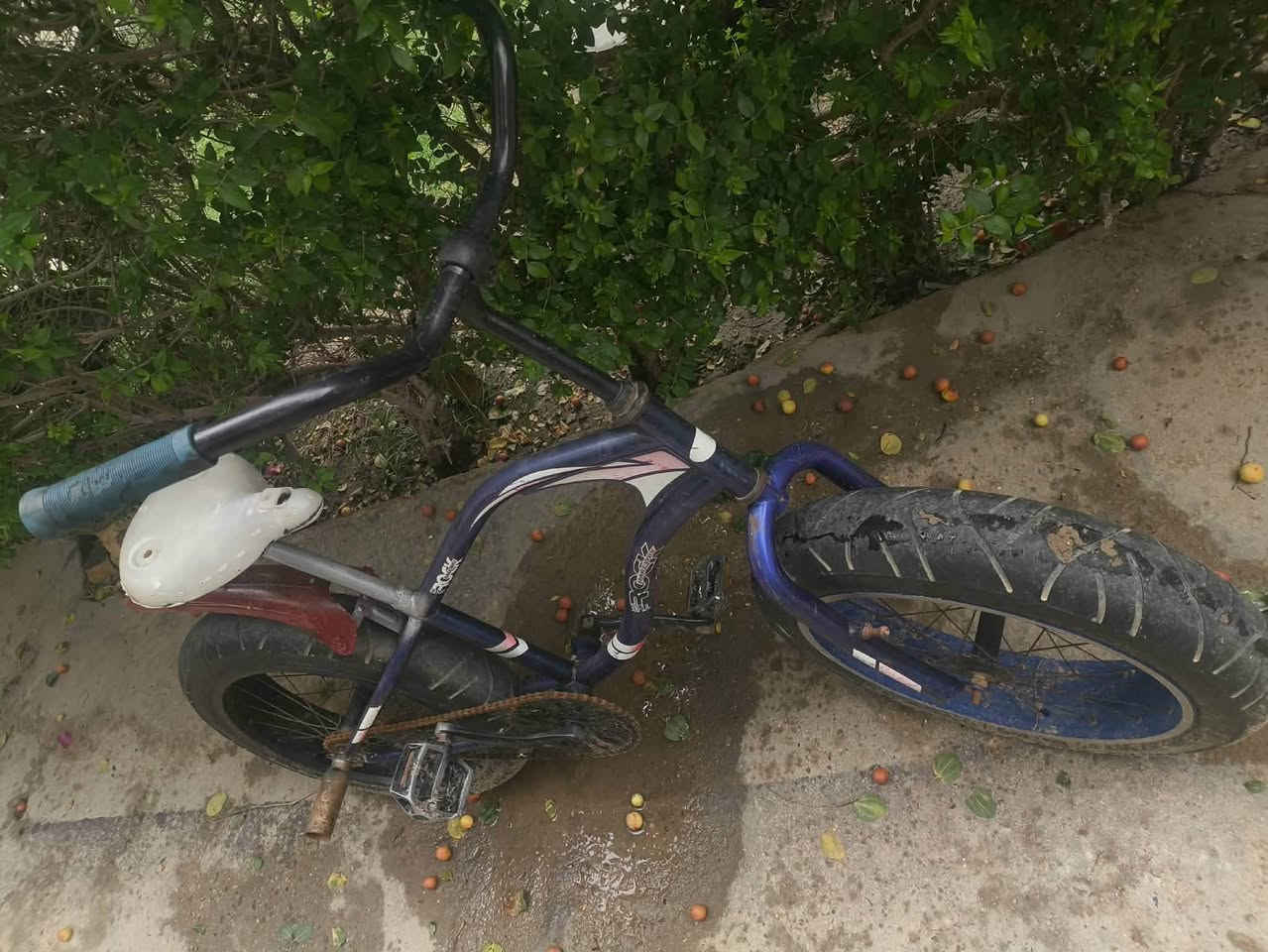 بايسکل للبيع
لون ازرک نظيف شغال كلشي مابي حجم ٢٦


**إذا كنت صاحب هذا الإعلان وتريد حذفه لأي سبب، رجاءا أرسل رسالة إلى الدعم الفني**