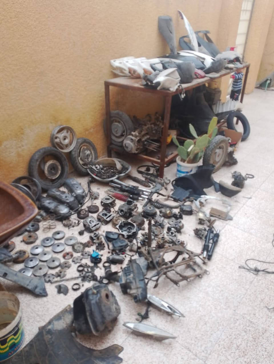 سلام عليكم غراض سبيسي وماكس تفصيخ كلشي موجود ***********
