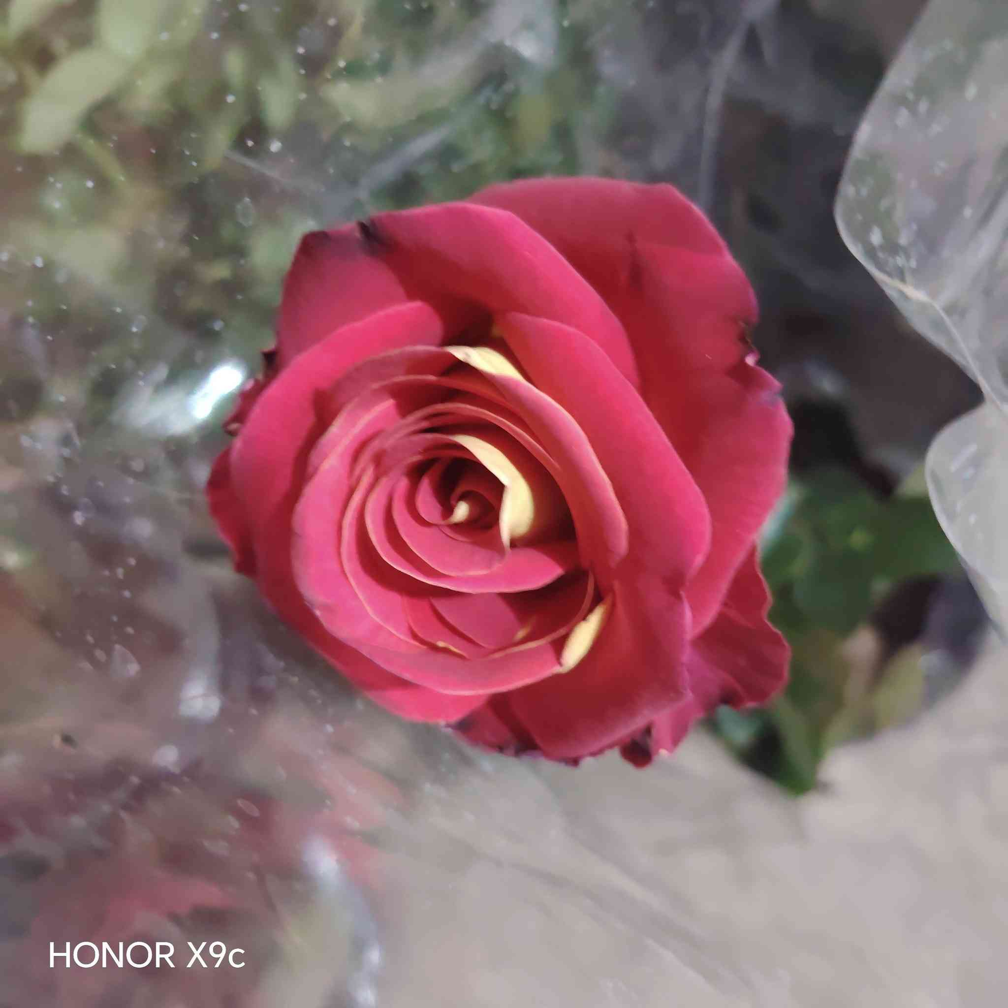 عرض اليوم الجمعه.
جوري قطمر الوان نوادر.
كل ٢ ب٥ الف
للحجز والاستفسار الاتصال على الرقم *********** جاسم الخليفاوي العنوان الخالديه شارع العام مقابل بلديه الخالديه
