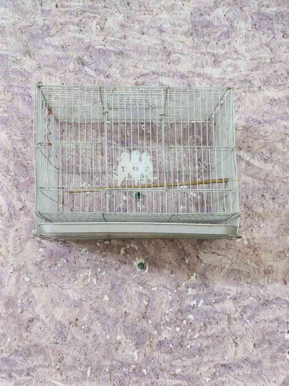 متاح اقفاص الشراي يجي خاص مكاني ناصرية مركز


**إذا كنت صاحب هذا الإعلان وتريد حذفه لأي سبب، رجاءا أرسل رسالة إلى الدعم الفني**