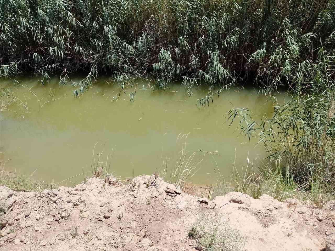 سلام عليكم كاع للبيع 100دونم بين دوايه ورفاعي للبيع دونم عله 500 وبيه مجال للشراي ماء كهرباء متوفر  للستفسار اكثر ‏‪***********‬‏
