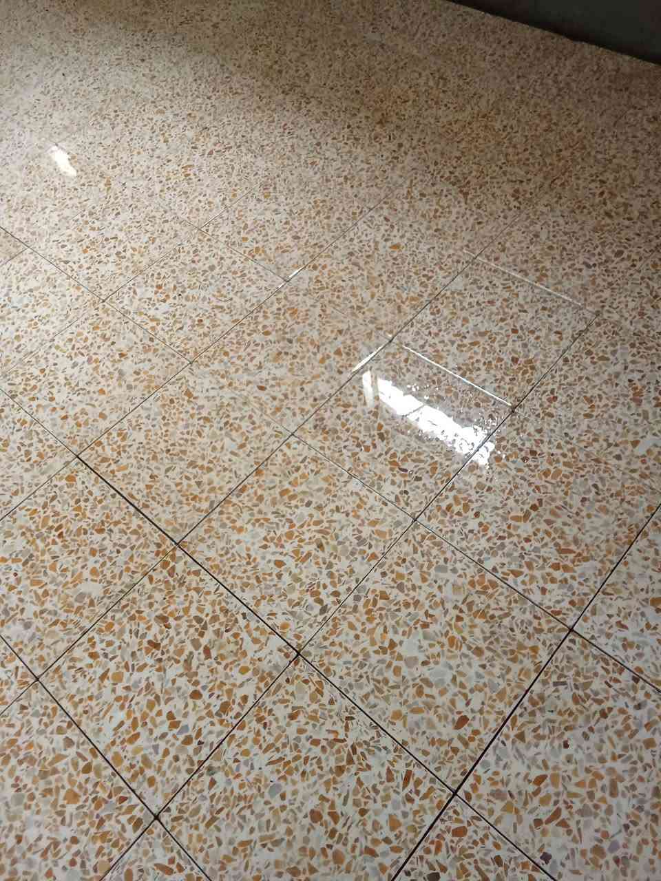 السلام عليكم صفاف كاشي سيراميك ازاره درج بورسلين بالمتر وقطعي سعر مناسب


**إذا كنت صاحب هذا الإعلان وتريد حذفه لأي سبب، رجاءا أرسل رسالة إلى الدعم الفني**