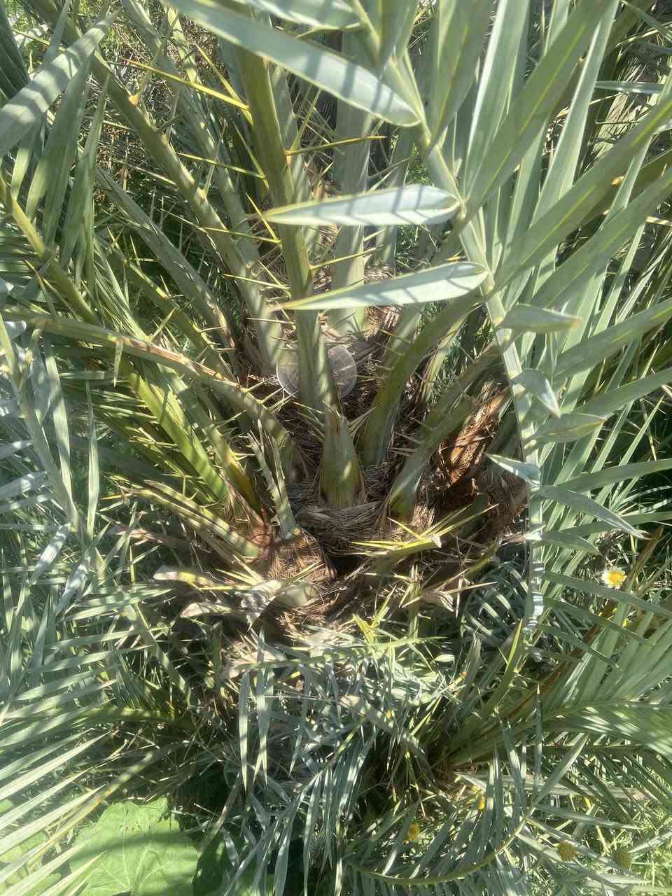 سلام عليكم عندي حوض كامل فسائل إبلك
أبيع شيله وحده مكاني فرع الوركاء


**إذا كنت صاحب هذا الإعلان وتريد حذفه لأي سبب، رجاءا أرسل رسالة إلى الدعم الفني**