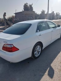 شاهينه • مديل ٧ • ناحية الطليعة