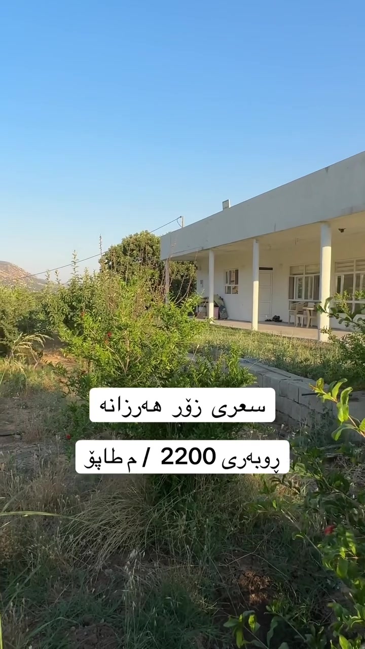 مەزڕەعە سعری زۆر هەرزانە *********** ☎️
