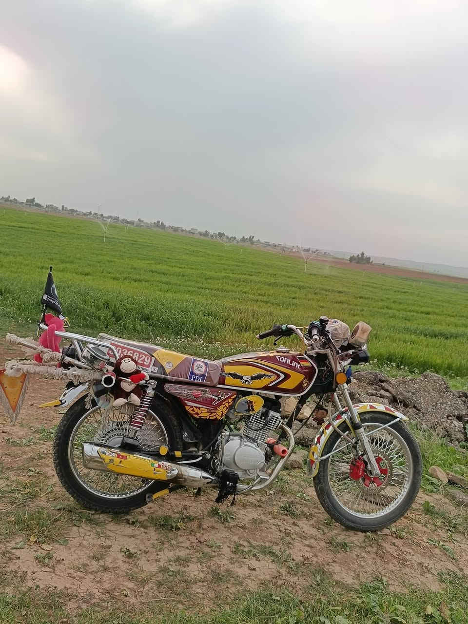 السلام عليكم  للبيع ماطور سولنك موديل 2025 محرك كبس ما مفتوح  دراجه جديده  منفيس مال شركه السعر 650 بي مجال للطيبين او هاذه رقمي تصل ***********رجان المو شراي لا ايعلق اعبر المنشور 🫡
