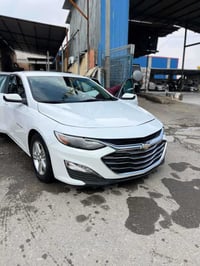 ماليبو LT1 • ٢٠٢٤ • رقم شيمال