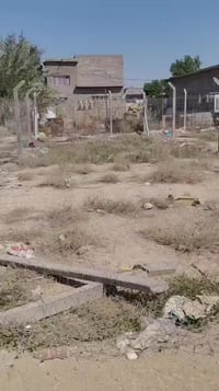 ‏‪0773 953 6352‬‏ قطعه للبيع العريفيه شارع ابو مروان زراعي 100متر