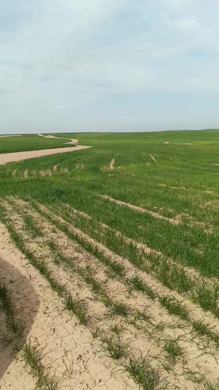 اقرا المنشور كامل ابيع اب هذه السعر لين عندي ضرف ومحتاج افلوس تنزيلات نص السعر عرض لأول مرة ومارح يتكرر اذا كل الأرض سعر الدونم مليون وربع واذا دونم سعر الدونم مليون ونص واذا اقساط سعر الدونم مليونين تدفع مليون والباقي اقساط مريح بدون كفيل للبيع ١٠٠ دونم للبيع وبسعر مناسب
ارض للبيع ١٠٠ دونم للبيع وبسعر مناسب سند 25 شرط التحويل طابو الحمدانيه 
والي ايريد كم دونم اقساط السعر يختلف اذا اقساط ادفع مقدمه مليون على كل دونم وباقي اقصد مريح بدون كفيل تقطيع حسب طلب الزبون
والي ايريد كم دونم هم ابيع الي ايريد قسم من الارض هم ابيع والي ايرد دونم بل بيع بالاقساط يدفع مقدمه والباقي اقساط هم ابيع الارض مسموح بيها البناء الارض مسموح بها البناء قريبه على فرع من نهر دجله وا قريبه على ماء الاسالة 1000 متر وقريبه عن التبليط 2000 متر اثنين كيلو من الموصل الى مفرق السلاميه ١٠. دقائق من من  سايدين كركوك مفرق السلاميه الى الأرض ٣ كيلو 

التواصل على الرقم *********** وتساب  اذا كل الارض اني طالب سعر مليون وربع 

تقطيع حسب طلب الزبون 
والي ايريد كم دونم اقساط السعر يختلف اذا اقساط ادفع مقدمه مليون على كل دونم وباقي اقساط مريح بدون كفيل ابيع حته لو دونم واحد هم ابي الأرض تصلح للزراعه و الأرض بستنان وا الأرض تصلح للتجشير الاشجار السياحه وا المتنزه 
اسعرمناسبه جدان اسال على الاسعر في المنطقة المجاورة متلكه اب هاذي الاسعار 

رابط موقع الأرض الخريطه https://maps.app.goo.gl/mYn8aRHi5pn9jxJE6?g_st=aw

https://maps.app.goo.gl/CYTkk4UL9vixWXkw7?g_st=aw

https://maps.app.goo.gl/aHvC6MnFMn72Tz8NA?g_st=aw

https://maps.app.goo.gl/uZqtr6vfx1UwMfBRA?g_st=aw
