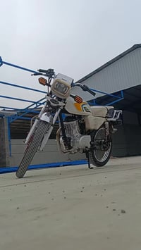 سونك • ٢٠٢٤ • اوراق اصولي