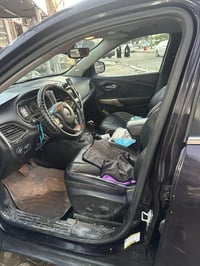 شيروكي • ٢٠٢١ • صبغ عام