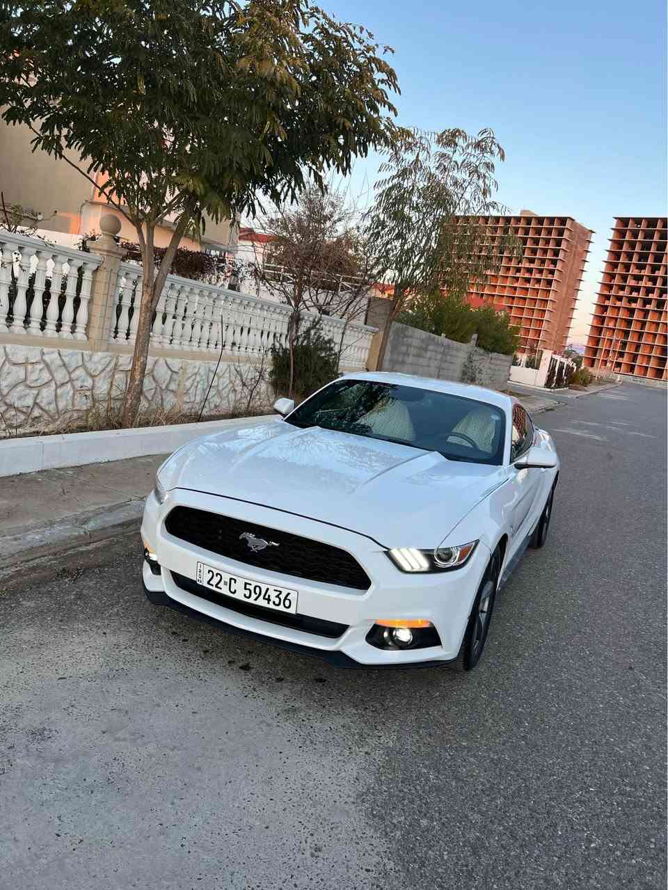 للبيع فورد موستك موديل ٢٠١٧ - ٦ سلندر ٢ بصمه ماصفات معروف ماشيه ٦١مايل سنه وي ٢٠٣٠ شهر ٦ سياره اي نواقي مابيها سياره جديد كير محرك مامفتوح اكسل كهرباي كلة شرط اربع قطعه و شبر صبغ  بدون دواخل بدون ارباك صبغ بس بخ مكان اربيل *********** أربيل, العراق
