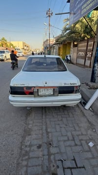 بصره تنومه • مكفوله • قير جيد