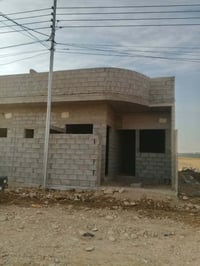 القوسيات • هيكل • ١٠٠م