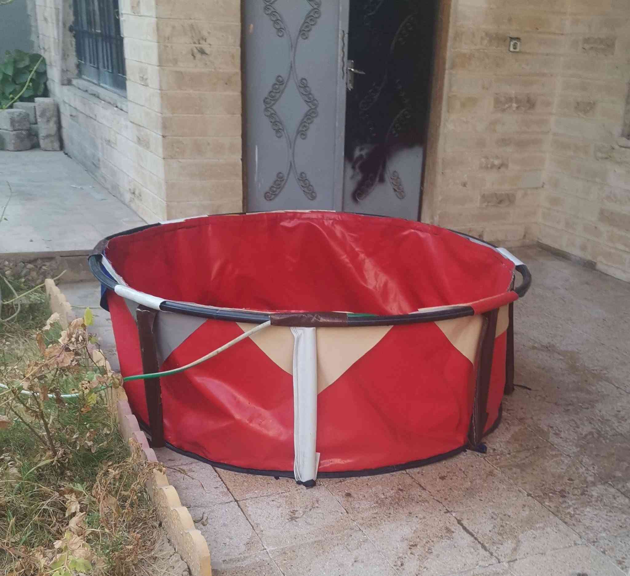40الف  بدون عيب نقص طوق فقط


**إذا كنت صاحب هذا الإعلان وتريد حذفه لأي سبب، رجاءا أرسل رسالة إلى الدعم الفني**