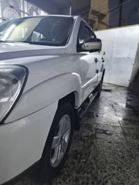 سبورتج • ٢٠١٠ • كفالة سنة