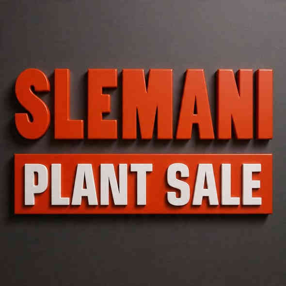 ⭐ وصلت حديثاً – حفارة هيتاشي Hitachi ZX170W-6 موديل 2020

جاهزة للعمل فوراً | حالة ممتازة | أداء يعتمد عليه

يعلن معرض سليمانية للمكائن والآليات الثقيلة – Slemani Plant Sales Co. Ltd عن وصول حفارة Hitachi ZX170W-6 موديل 2020 بحالة استثنائية بعد فحص شامل، وبجاهزية كاملة للعمل في مشاريعكم دون أي تأخير.

تتميز هذه الماكينة بقوتها، سرعتها، ثباتها العالي، واقتصاديتها الممتازة في استهلاك الوقود، مما يجعلها خيارًا مثاليًا لشركات المقاولات والبناء والطرق والخدمات.

⸻

🔶 المواصفات والخيارات الفنية – Hitachi ZX170W-6 (2020)

🔸 الأداء والمحرّك
 • محرك Isuzu 4 سلندر عالي الاعتمادية
 • قوة صافية تقارب 130 حصاناً
 • وزن تشغيلي بين 17 – 19 طن (حسب التجهيز)
 • نظام هيدروليكي متطور HIOS III لأعلى كفاءة تشغيل
 • سرعة السير تصل إلى 37 كم/ساعة
 • ثبات ممتاز بفضل تصميم المحاور والكونترويت المحسّن

🔸 أنظمة الهيدروليك
 • أنماط تشغيل متعددة: Power / ECO / Lift
 • خطوط هيدروليك جاهزة (Factory Fitted):
 • خط الهامر
 • خط الروتيتور/المقص
 • خط AUX إضافي
 • ذراع تشغيل:
 • بوم قياسي
 • أو بوم مفصلي (Two-Piece Boom) لمرونة أعلى

🔸 الكبينة وراحة السائق
 • كبينة واسعة مع عزل صوتي عالي الجودة
 • تكييف وتدفئة كاملة
 • مقعد سائق مريح قابل للتعديل
 • شاشة معلومات متعددة الوظائف مع نظام تشخيص
 • كاميرا خلفية وكاميرات جانبية (حسب المواصفات)
 • رؤية محيطية ممتازة

🔸 الملحقات (اختياري)
 • باكيت
 • هيدروليك هامر
 • روتيتور
 • إطارات بحالة ممتازة
 • دعّامات أمامية وخلفية (Stabilizers)

⸻

✨ أسعارنا منافسة ونوفر أفضل العروض في السوق

نضمن لكم أفضل جودة، أسعار مميزة، وخدمة راقية قبل وبعد البيع.
للمزيد من المعلومات أو للاستفسار، يرجى الاتصال بنا:

⸻

📍 معلومات الاتصال والموقع

معرض سليمانية للمكائن والآليات الثقيلة – سليمانية للبيع
Slemani Plant Sales Co. Ltd
Suppliers of New and Used Plant & Equipment
Kurdistan Region – North of Iraq

📞 Iraq: 0770 152 1304

📧 Emai: info@slemaniplant.com
🌐 Website: www.SlemaniPlant.com

📍 العنوان:
سلێمانی – ڕێگای سەرەکی سلێمانی بۆ تاسلوجە
پێشانگای سلێمانی
Sulaimani – Kerkuk Road, Sulaymaniyah – Iraq
#slemaniplant
