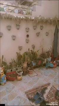 دار • ١٠٠م • منطقة الفين