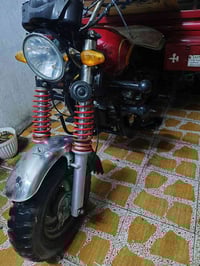 اورجیناڵ • ٢٠٢٠ • هەولیر