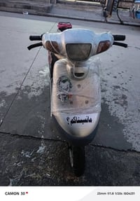 بوتين • معمر • نضيف