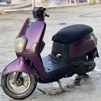 ماكس بوليسي • بوشه ٤٩ • جاهزه