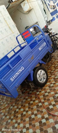 دولفين • زيرو • الشطرة