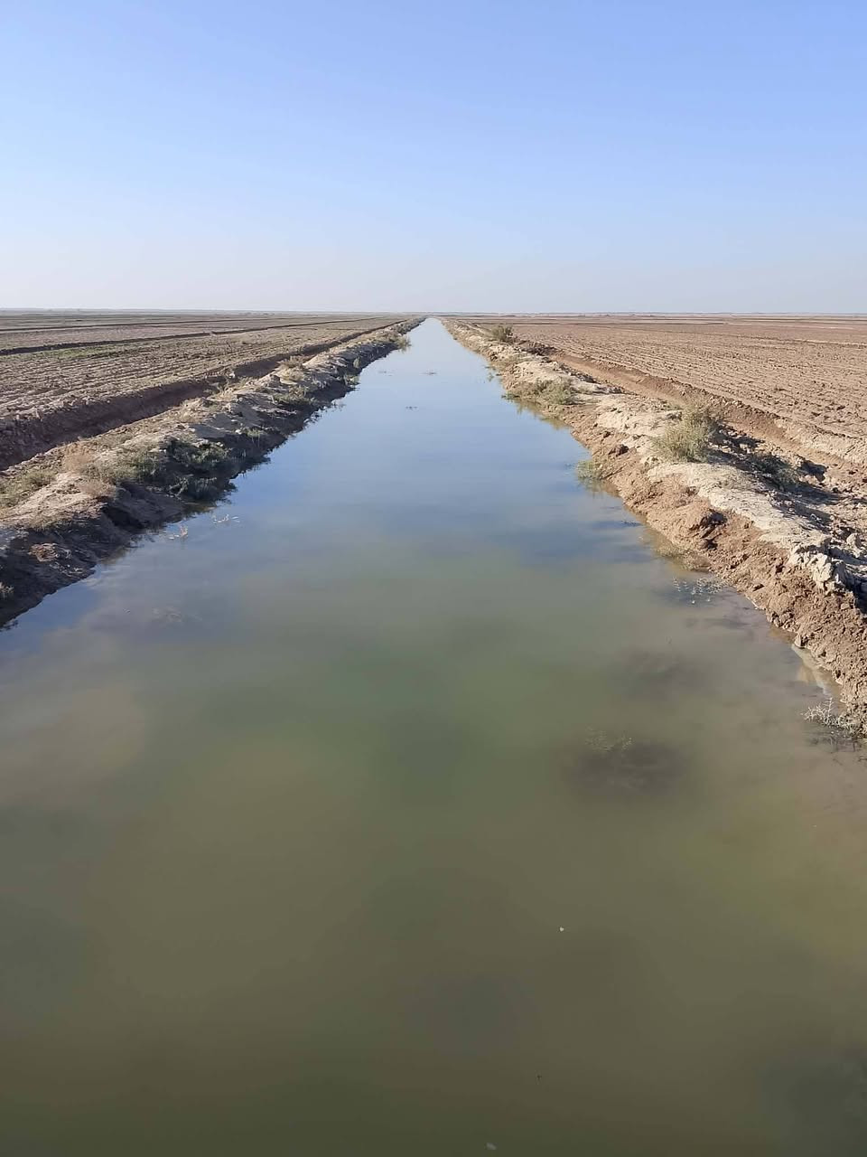 السلام عليكم
أرض زراعية للبيع مساحتها ٨٠ دونم عقد زراعي قانون ٣٥ جديد 
عنوانها السماوه/ الخضر 
ماي متوفر كهرباء تبعد ١ كيلو وطريق رئيسي 
تبعد عن الولاية ١٦ كيلو 
تبعد عن السريع بصره بغداد ١٨ كيلو 
كاع حلوه مابيها صبخ ولابيها طلايب
تزرع شتوي صيفي سعر الدونم ٦٠٠ مع المجال
قطعة ثانية. مساحتها ٣٠ دونم متوفر خط كهرباء رئيسي متوفر ماي رسمي  وطريق رئيسي 
 سعر الدونم ٩٠٠ الف 
للتواصل *********** واتساب+ اتصال
