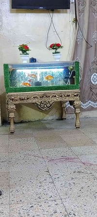 حوض اسماك • الصرافيه