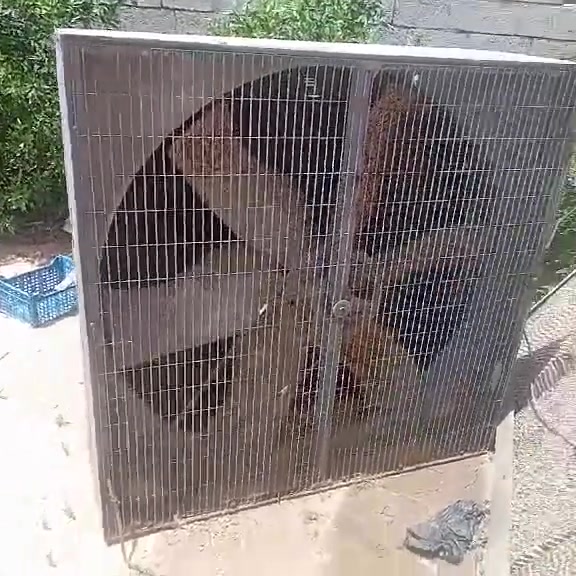 للبيع ***********
