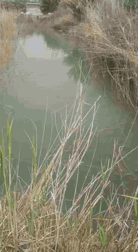 السلام عليكم      للبيع
أرض زراعيه بستان  طابو 5دونم +عقد 9دونم يتوفر فيها ماء كهرباء دار سكنيه مساحتها 200م منطقة برينج في العزيزيه تبعد عن نهر دجله أقل من 400متر  للاستفسار الإتصال على الرقم ***********
