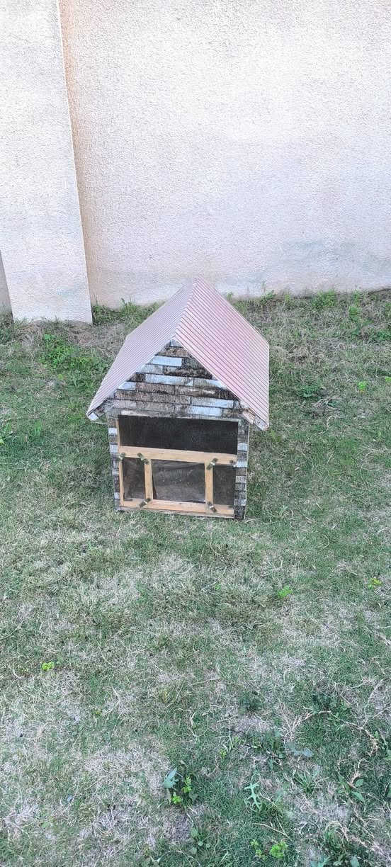 السلام عليكم بيت قطط السعر 35 المكان تكريت


**إذا كنت صاحب هذا الإعلان وتريد حذفه لأي سبب، رجاءا أرسل رسالة إلى الدعم الفني**