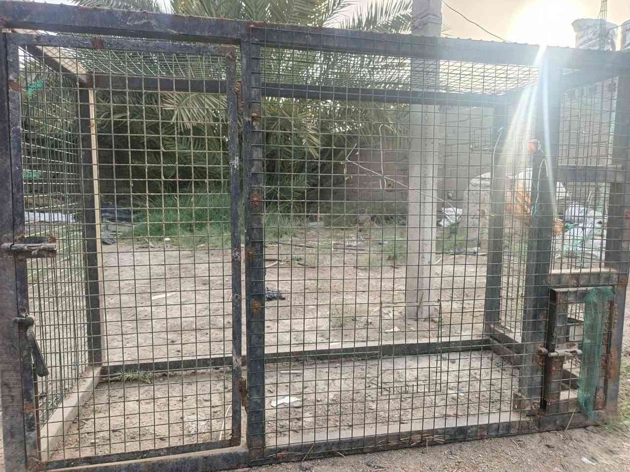 قفص للبيع الطول مترين الارتفاع ٦٠العرض ٤٠المكان ناحيه الفضليه ***********وتساب
