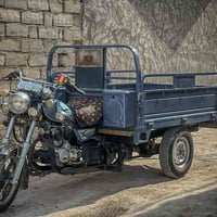 ستوته • موديل 23 • مكفولة