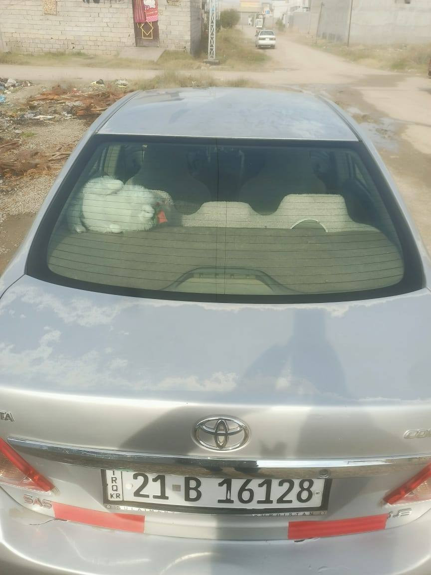 السلام عليكم للبيع كورلا مديل ٢٠٠٨ خليجي محرك كير كفالة سيارة بيهة قطعتين صبغ بدون داخل رقم سليمانية الدولي بسمي السيارة كير عادي السعر ٩٥ وبيهة مجال مكان السياره ديالى المقدادية رقم الموبايل *********** تبريد ثلج تدفئة
