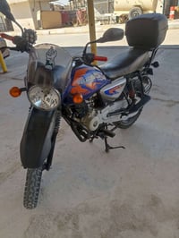 بوكسر • جبلي • ٢٠٢٣