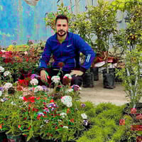 الديوانية • مشتل • توصيل بلاش