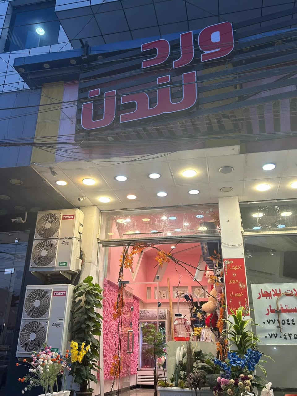 ورد لَندن 
العنوان العامريه شارع المنظمة مجاور لحوم عامر نايف


**إذا كنت صاحب هذا الإعلان وتريد حذفه لأي سبب، رجاءا أرسل رسالة إلى الدعم الفني**