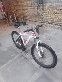 باسكل جبلي • حجم ٢٦ • الحسينيه راشديه