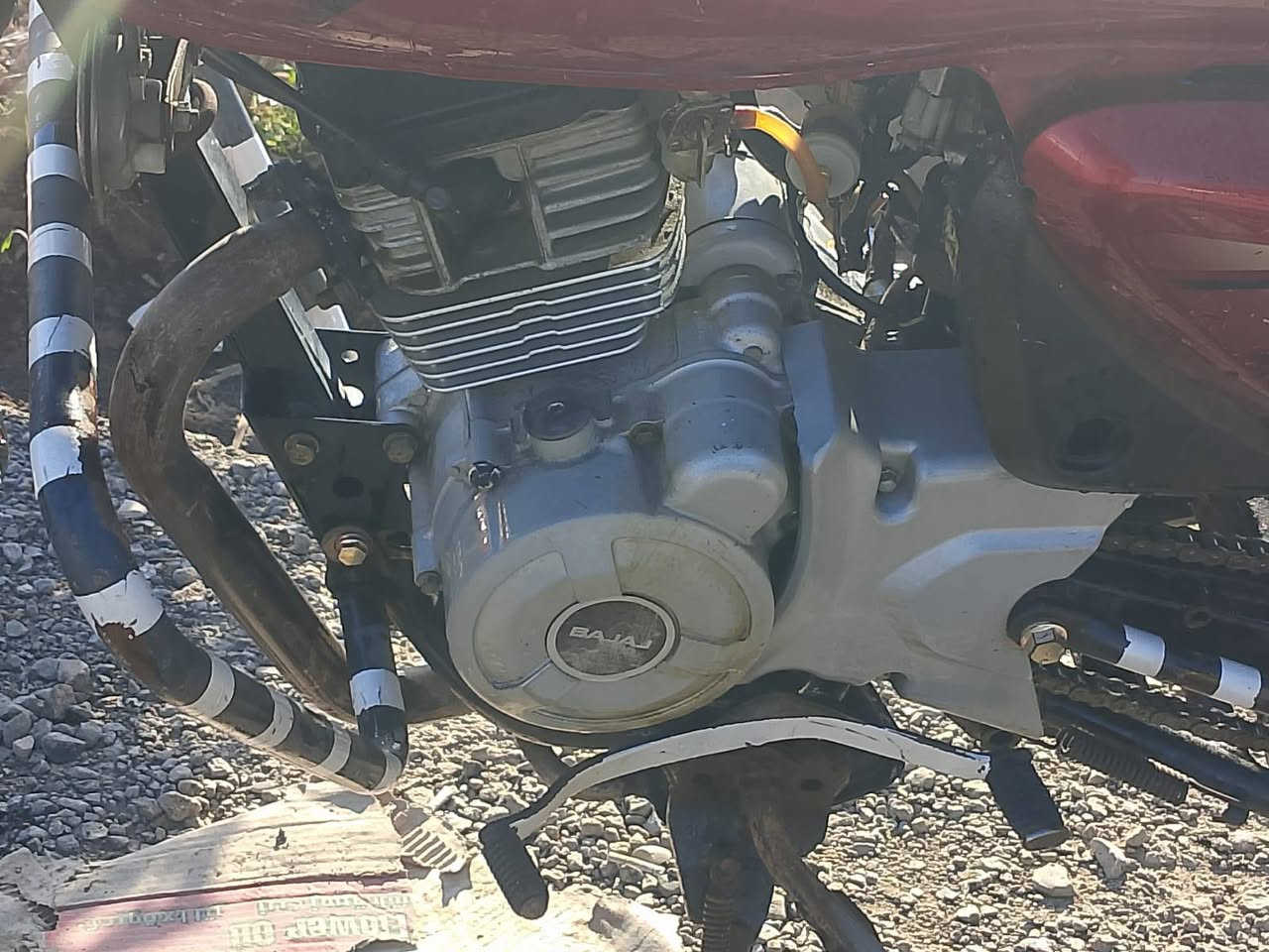 للبيع بوكسر 18اصولي سعر575 الخالص_هبهب ***********
