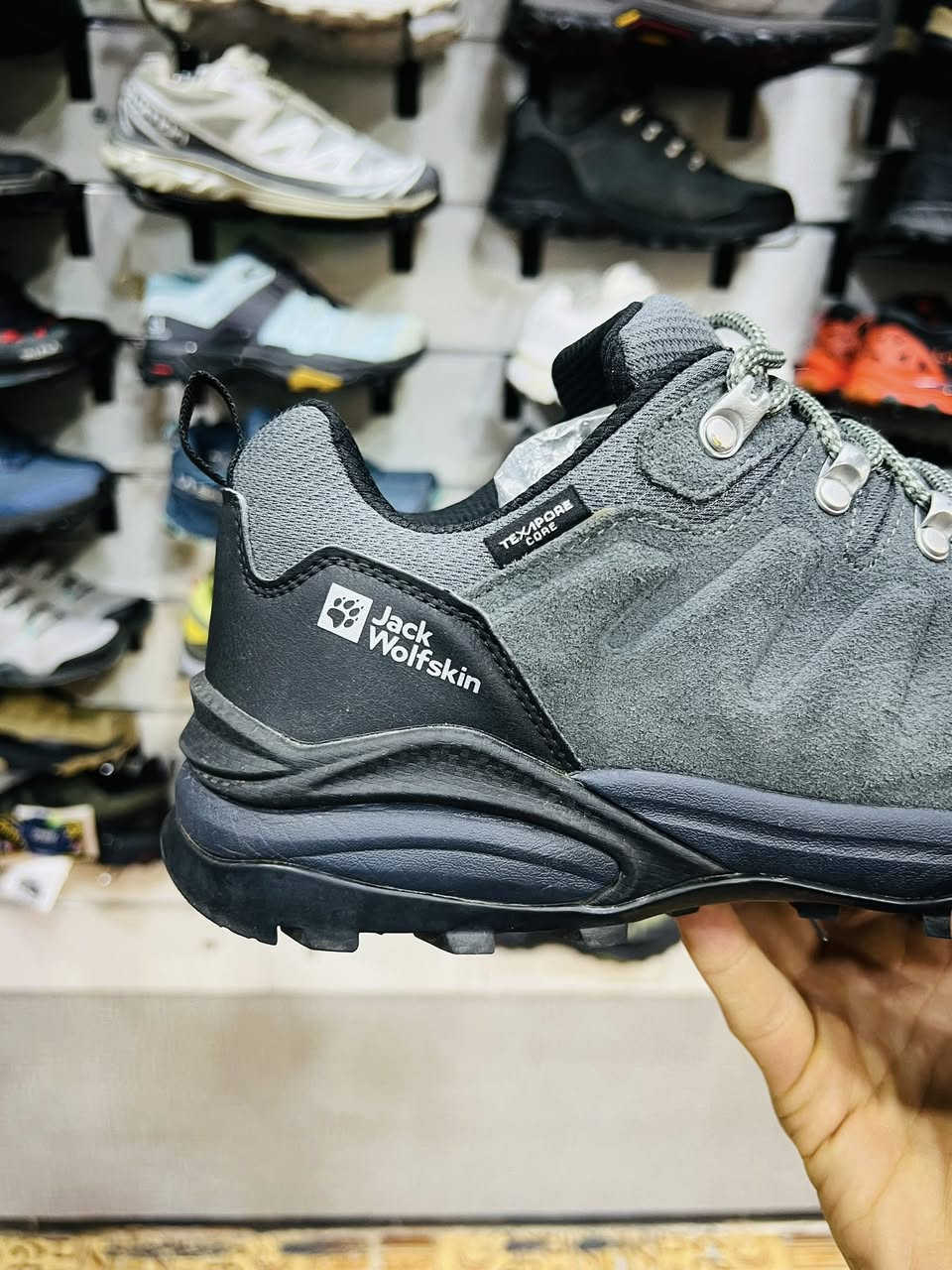 Jack wolfskin


**إذا كنت صاحب هذا الإعلان وتريد حذفه لأي سبب، رجاءا أرسل رسالة إلى الدعم الفني**