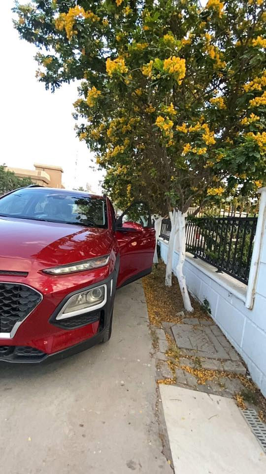 Hyundai Kona 2020
هونداي كونا 
النظافة عالية (مثل ما موضح بالصور )استخدام بسيط 
صيانة دورية منتظمة وكل قطع الغيار اصلية 
حدادية بلادية نظيفة 
تخم تايرات وبطارية جديدة
———-[المواصفات ]————-
*محرك DOHC 2.0 
*ناقل حركة 6 speed
*نظام  دفع FWD
———-[أنظمة المساعدة على القيادة ]———
*نظام المحافظة على المسار LANE KEEP ASSIST
*رادار امامي + رادار خلفي front and rear radar
*نظام النقطة العمياء Blind spot  
*نظام مانع الاصطدام Anti collision radar 
*نظام فرملة المنحدرات والجبال BRAKE HILLS 
*نظام  مانع الانزلاق ANTI LOCK BRAKING SYS
*كاميرا خلفية دواارة parking camera 
——————الضرر—————

الضرر تبديل قطعتين  (ضرر امريكا) 

——— المواصفات الداخلية———
فتحة سقف  slide roof
دخول  وتشغيل ذكي Smart key 
شاشة  Touch Screen تدعم كافة الوسائط 
تدفئة كشنات 
تحكم الكشن كهربائي 
تحكمات ستيرن (مثبت سرعة + وسائط + شاشة الأعطال)
إشارات بالمري
كشنات جلد 
أنظمة قيادية متعددة 
مرآة وسطية عاكسة تلقائية 
——- المسافة المقطوعة——-
عداد المسافات ٦٨ الف 
السيآرة متكاملة من كافة النواحي 
—————-[السعر]—————-
قابل للتفاوض مجال بسيط 138$
المكان بغداد- الكرادة
***********
