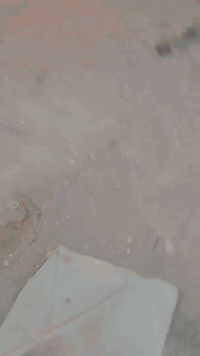 حداد متفرغ  بغداد السباع *********** حداده عامه
