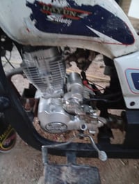 ستوته • دايون • فول الفول