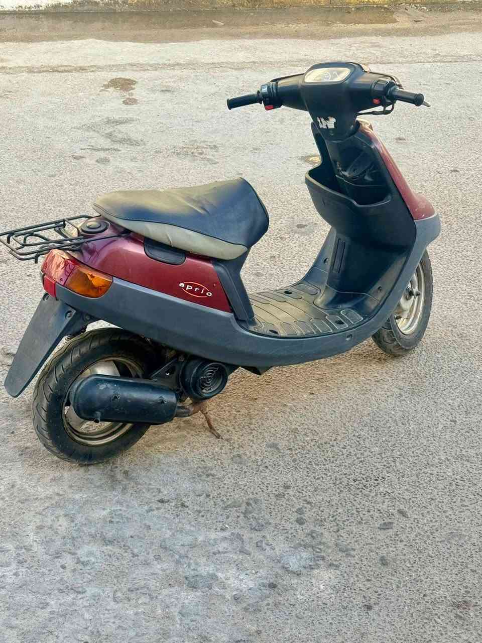 سلام عليكم دراجه منغولي دراجه خير من الله شقله من الطول الطول دراجه خرسه ليريدهه يخابر رعيهه*********** مكاني الحيانيه
