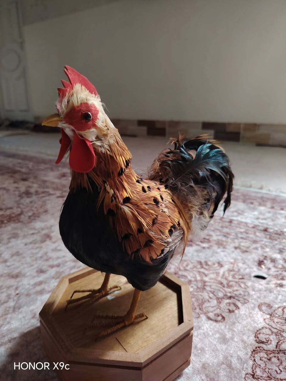 ٢٥ الف مع توصيل


**إذا كنت صاحب هذا الإعلان وتريد حذفه لأي سبب، رجاءا أرسل رسالة إلى الدعم الفني**