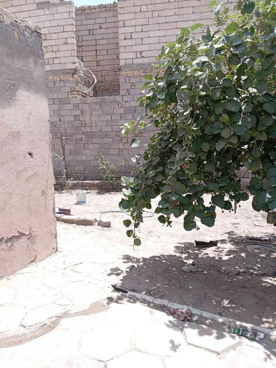 بيت زراعي بلسديناويه هيكل وقطعه مجموعهن 600متر خدمات كامله سديناويه خلف مدرسه صفي الدين قرب العصوم للاستفسار ***********
